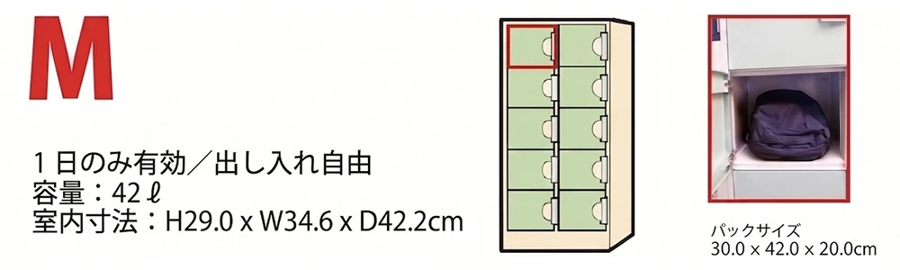 M 容量：42L 室内寸法(cm)：高さ29.0 x 横幅34.6 × 奥行42.2